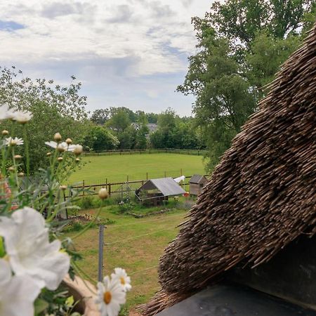 Apartamento Het Grote Paard Havelte Exterior foto