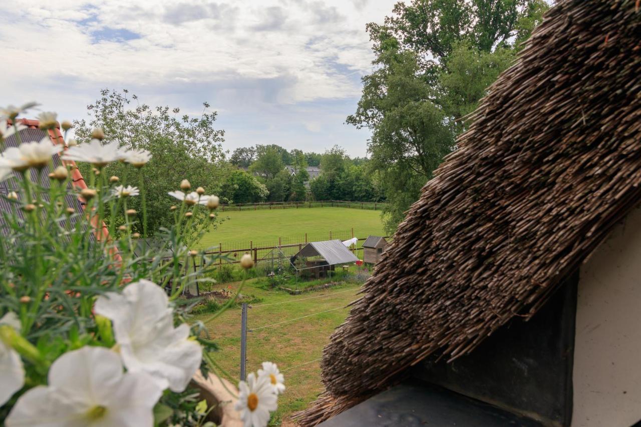 Apartamento Het Grote Paard Havelte Exterior foto