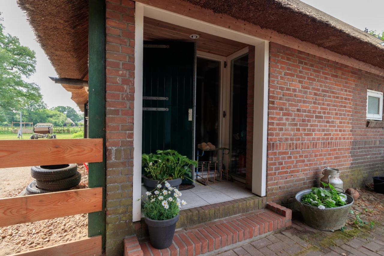 Apartamento Het Grote Paard Havelte Exterior foto