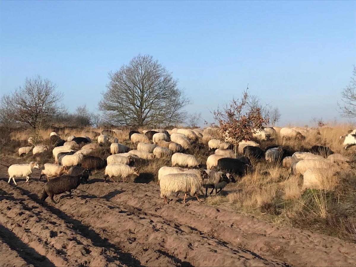 Apartamento Het Grote Paard Havelte Exterior foto