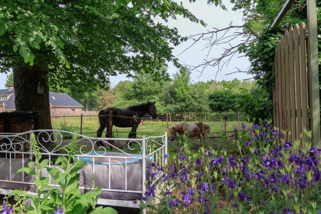 Apartamento Het Grote Paard Havelte Exterior foto