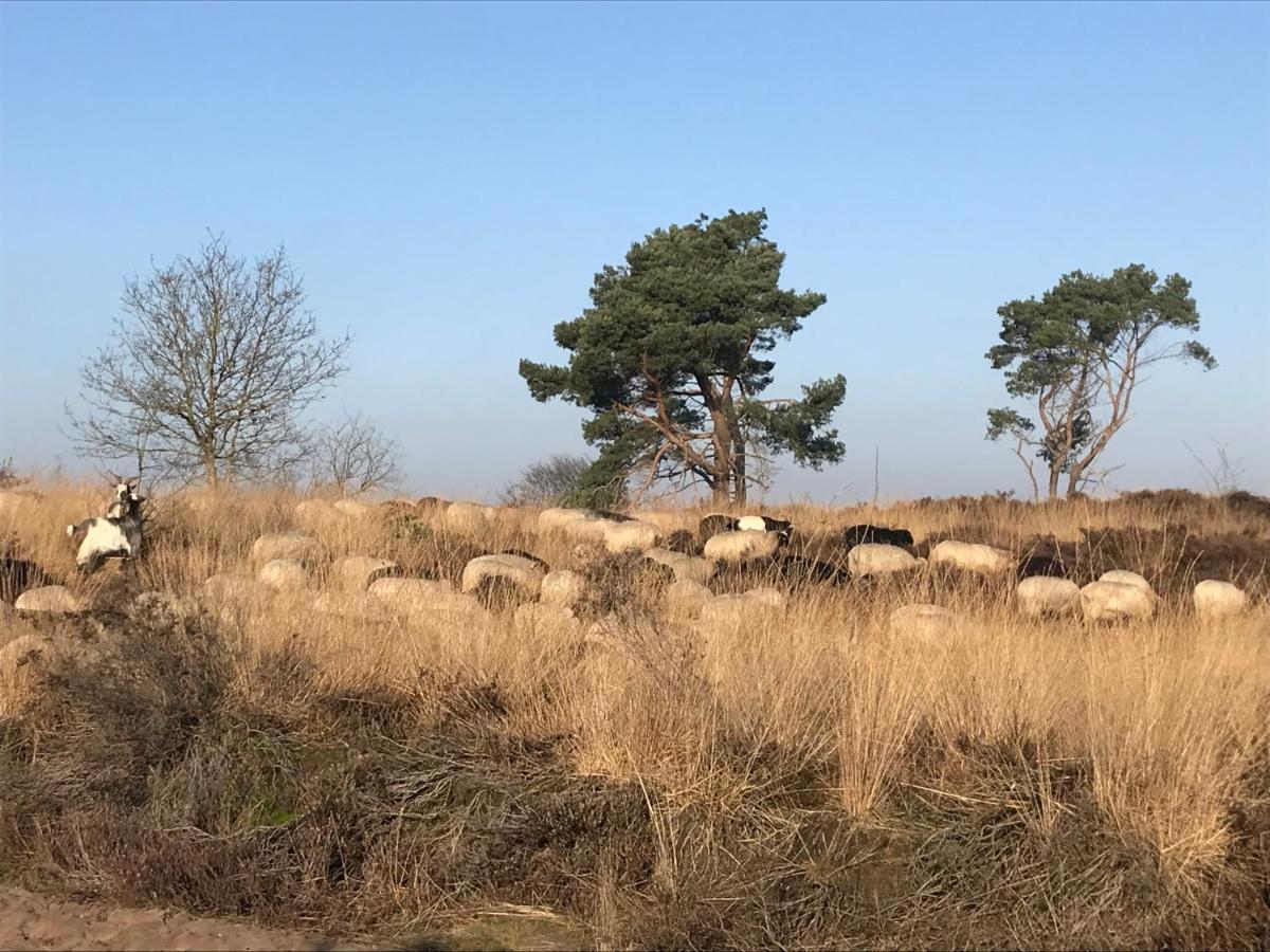 Apartamento Het Grote Paard Havelte Exterior foto