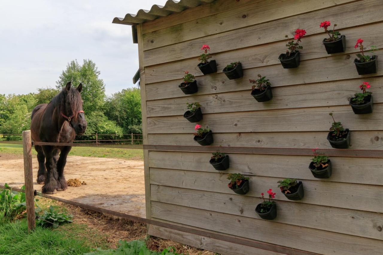 Apartamento Het Grote Paard Havelte Exterior foto