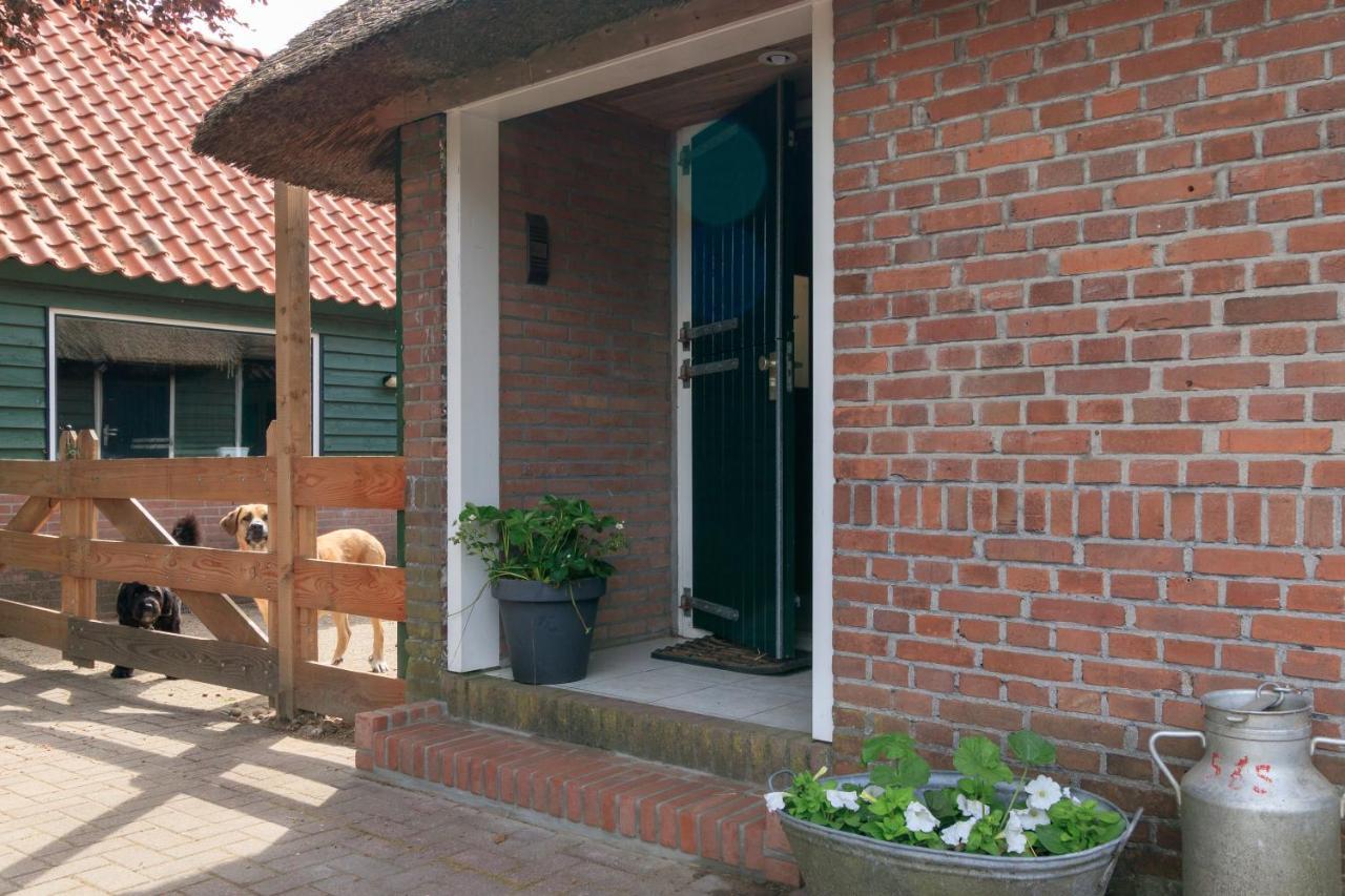 Apartamento Het Grote Paard Havelte Exterior foto